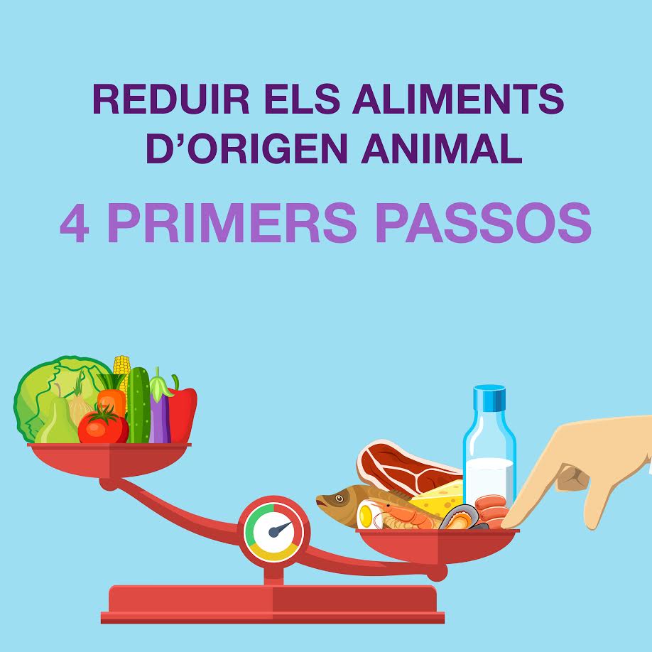 Primeros pasos para reducir los alimentos de origen animal