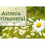 Astenia Primaveral